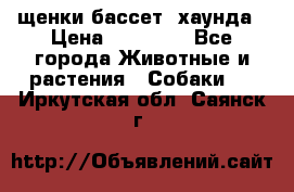 щенки бассет- хаунда › Цена ­ 20 000 - Все города Животные и растения » Собаки   . Иркутская обл.,Саянск г.